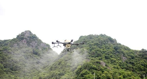 湖南新田 飞防作业助力烟叶稳产增收