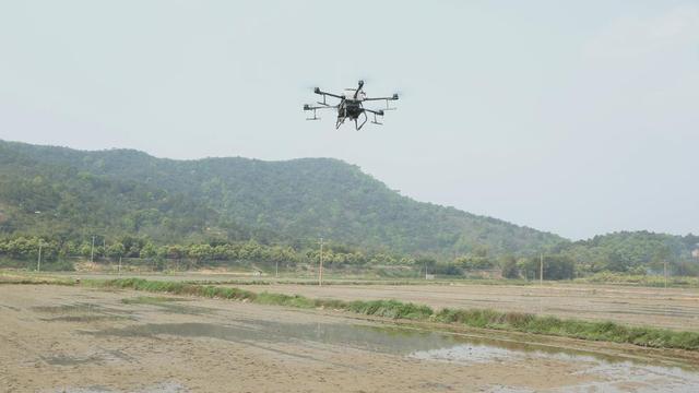 肇庆德庆：无人机播种提高农业生产效率