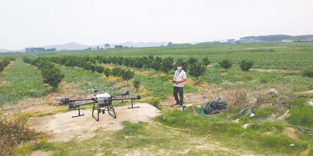 新农人放下农具拿起遥控 指挥无人机田间施肥喷药