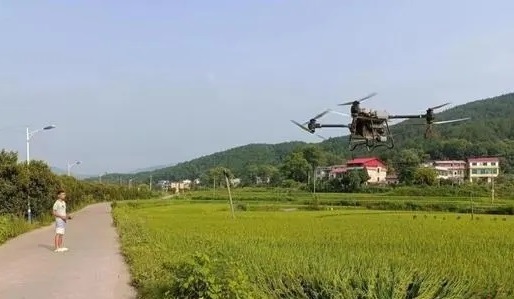 杏子铺镇：无人机施肥 粮食品质再提高