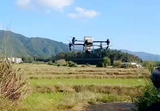 汝城卢阳镇：无人机撒下“种子雨” 一天飞播1000亩