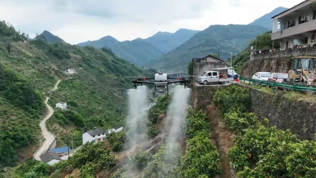 小山村掀起无人机热 高科技让柑橘种植更“智慧”