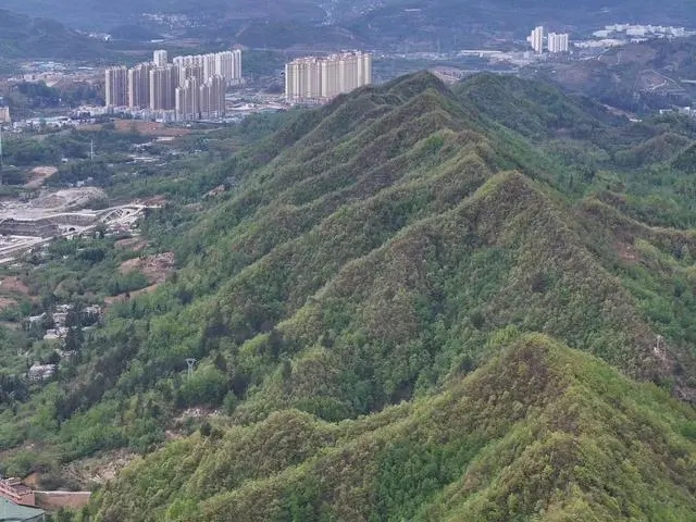 “空中奇兵”守护绿水青山！无人机助力七星关区森林防火