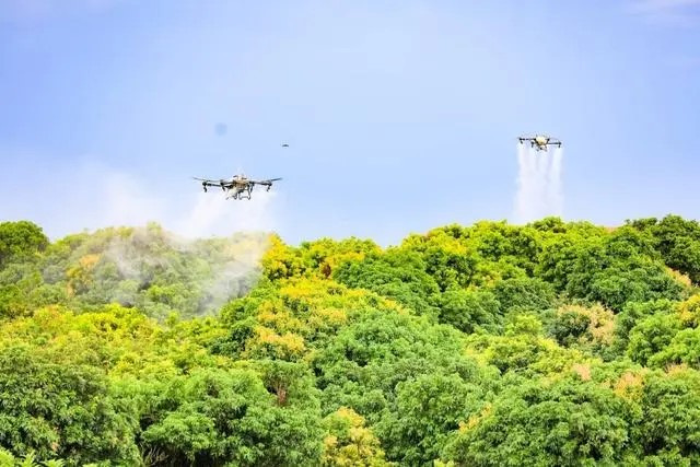 低空经济“飞”出新质生产力，广东十佳农事无人机飞手诞生